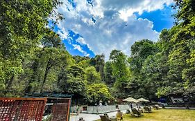 Ayar Jungle Resort Prices